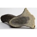 Chew Jelení paroh midi 80-100 g