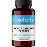 Bioherba Acacia Catechu Extract, 250 mg, 60 капсули, Bioherba
