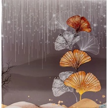 Fotoalbum 10x15 pro 500 fotek Ginko 1