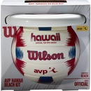 Wilson AVP Hawaii
