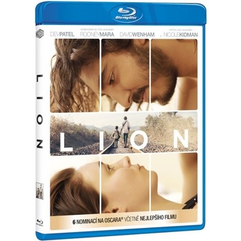 Lion BD