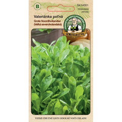 Valeriánka poľná Severoholandská veľká