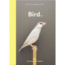 Bird.
