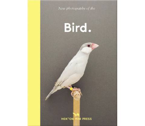 Bird. Press Hoxton Mini