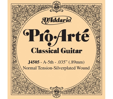D'Addario J 4505