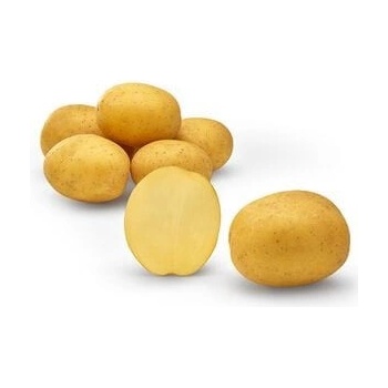 Sadbové zemiaky Pocahontas 28/40 mm - 5 kg