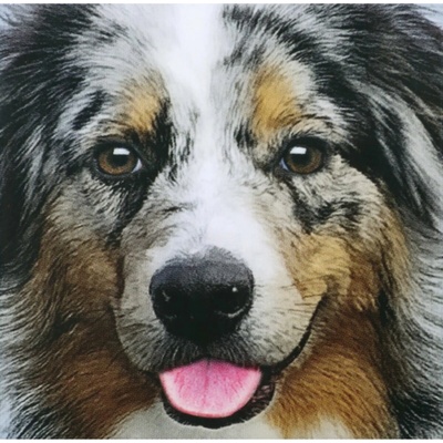 CURIOSI Štvorcové Q Animal Pes 66 dielov