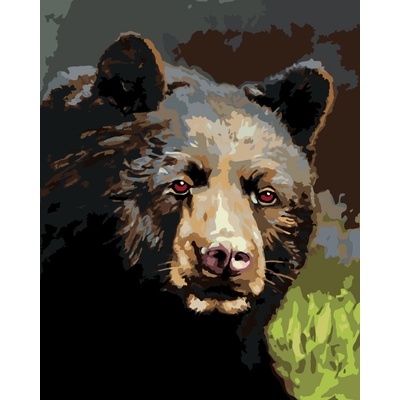 ZUTY Malování podle čísel PORTRÉT MEDVĚD D RUSTY RUST Rozměr 80 x 100 cm Rámování bez rámu a bez vypnutí plátna