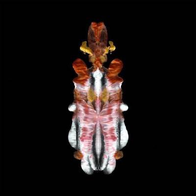 Scraps Of Tape - The Will To Burn (LP) (4059251208938)