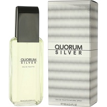 Antonio Puig Quorum Silver toaletná voda pánska 100 ml