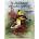 A Garden of Birds: Paint It Simply Concept Lessons | David Jansen, Jansen Art Studio