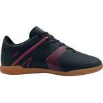 Kensis EASTERA 45