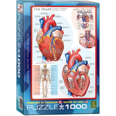 EUROGRAPHICS Пъзел Eurographics от 1000 части - Човешкото тяло, Сърце (EG60000257)