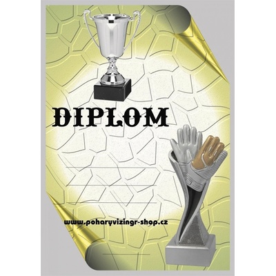 VIZINGR Fotbal diplom A4 č.48