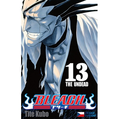 Bleach 13