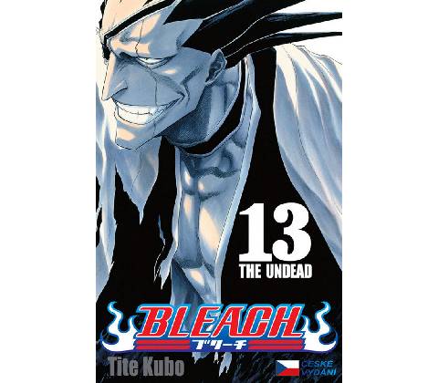 Bleach 13