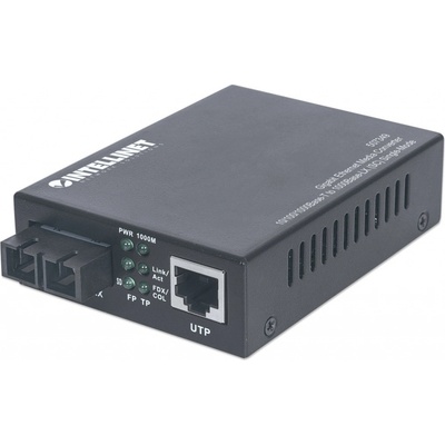 Intellinet 507349