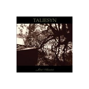 TALIESYN: JIZNI AMNESIE CD