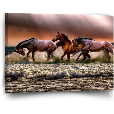 Sablio Obraz Kone vo vode - 90x60 cm