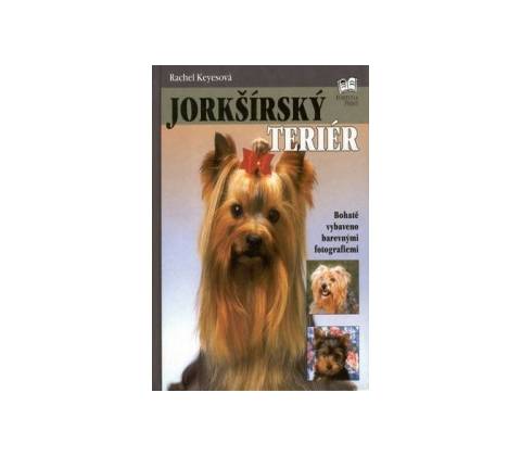 Jorkšírský teriér