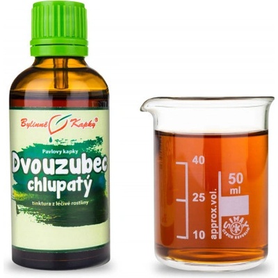 Bylinné kapky Dvojzubec chlpatý pílový bylinné kvapky tinktúra 50 ml