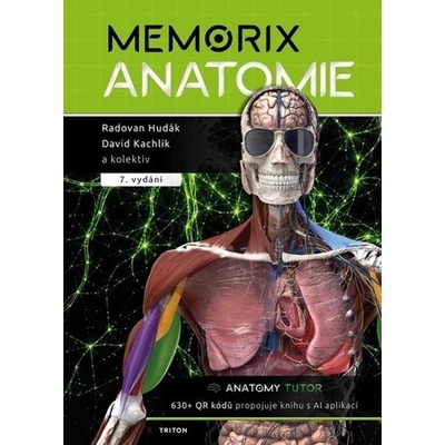 Memorix anatomie