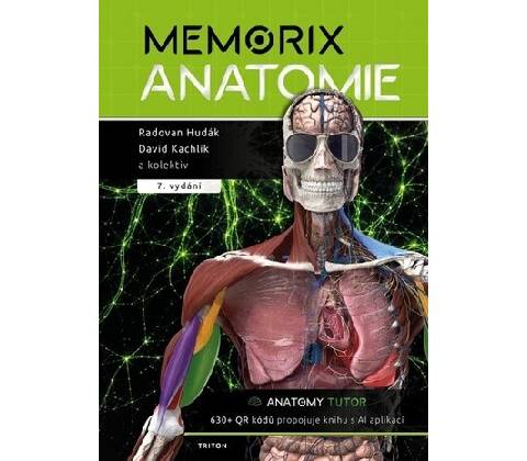 Memorix anatomie