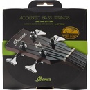 Ibanez IABS4XC32