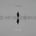 The Veils - ASPHODELS CD