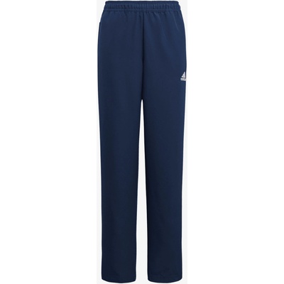 adidas ENT22 PRE PNT Y