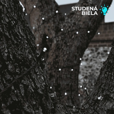 Solar Solární LED řetězCentre Elan SS9944 200 LED 20m studená bílá