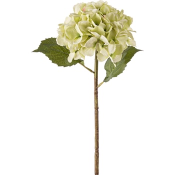 Bizzotto ИЗКУСТВЕНА КЛОНКА hydrangea 52cm ЗЕЛЕНА (0172213)