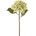 Bizzotto ИЗКУСТВЕНА КЛОНКА hydrangea 52cm ЗЕЛЕНА (0172213)