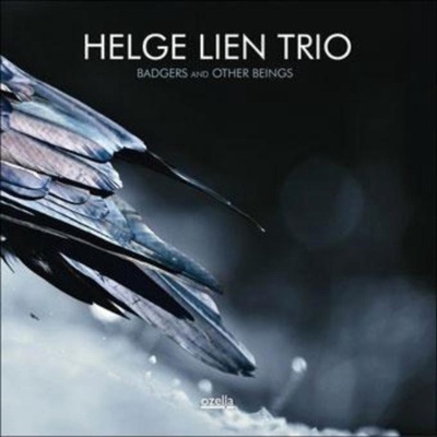 Badgers and Other Beings - Helge Lien Trio LP