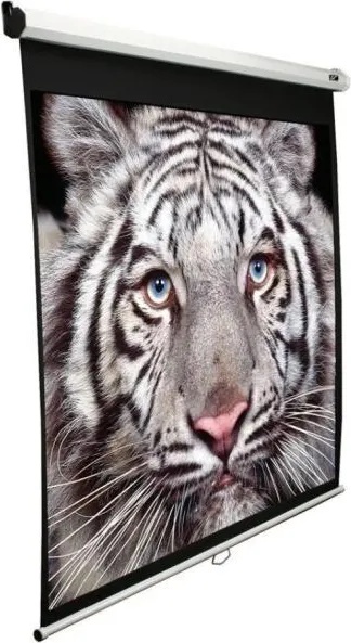Elite Screens M150XWV2
