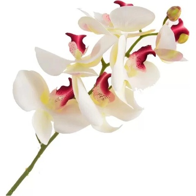 Květina UH orchidej bílá 72 cm