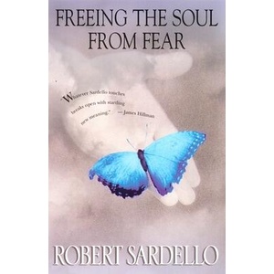 Freeing the Soul from Fear | Robert Sardello (ISBN: 9781573228336)