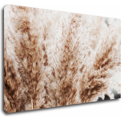 Impresi Obraz Suchá tráva skandinávský styl - 50 x 30 cm