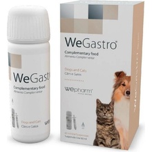 Dr.Vet WeGastro 60 ml