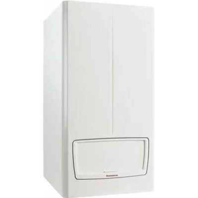 Immergas VICTRIX PRO V2 55 3.033857