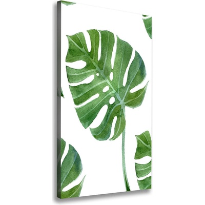 Vertikálny foto obraz na plátne do obývačky Monstera 50x100 cm