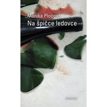 Na špičce ledovce - Plocová Monika