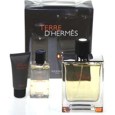 Hermés Terre D'Hermés EDT 100 ml + balzám po holení 40 ml + pěna na holení 50 ml dárková sada