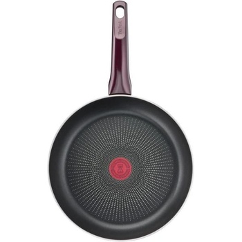 Image 1 of Tefal Resist Intense 24 cm (D5220483)