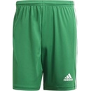 ADIDAS Squadra