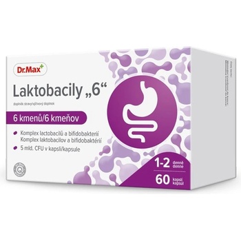 Dr.Max Laktobacily 6 60 kapslí