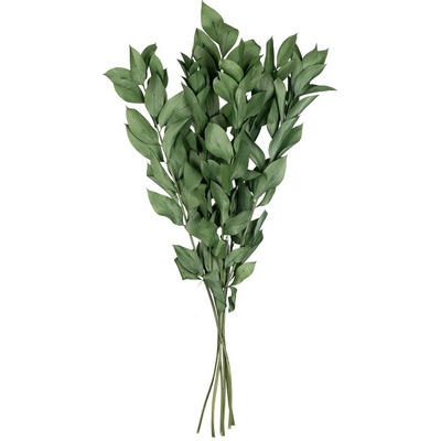 Ruskus