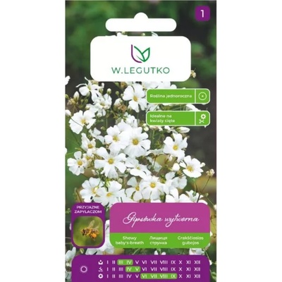 W. Legutko Елегантна бяла гипсофила