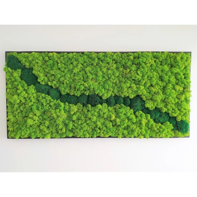Machový obraz v čiernom ráme 57cm x 123cm