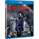 Zrcadla BD